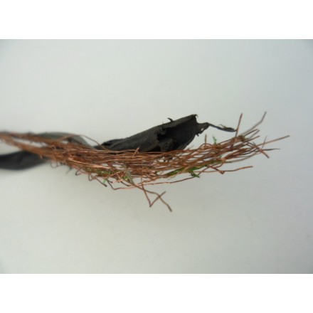 COPPIA SENSORI INTERRUTTORI POMPA FRIZIONE E FRENO ANTERIORE BMW R1150 R 2004