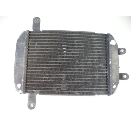 TOYO RADIATORE ACQUA RAFFREDDAMENTO LIQUIDO SUZUKI BURGMAN 400 AN 2001 BUSINESS