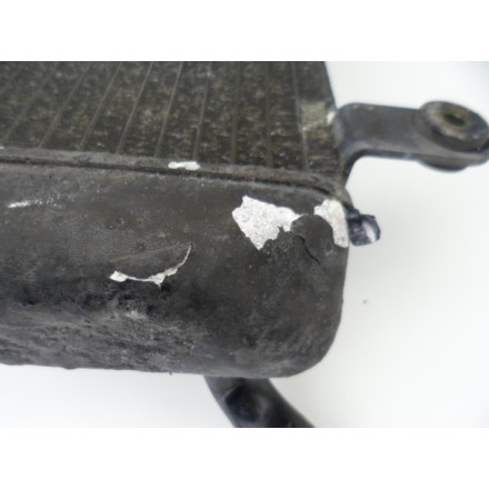 TOYO RADIATORE ACQUA RAFFREDDAMENTO LIQUIDO SUZUKI BURGMAN 400 AN 2001 BUSINESS