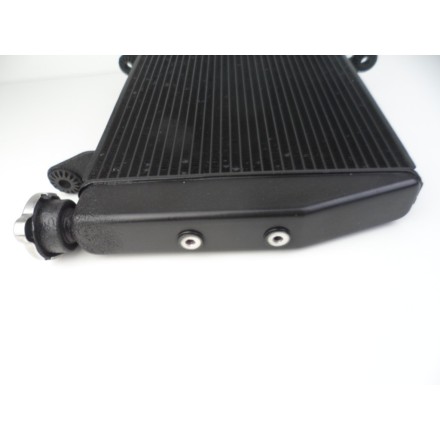 RADIATORE ACQUA RAFFREDDAMENTO LIQUIDO MOTORE OEM DUCATI MULTISTRADA 1200 S 2010