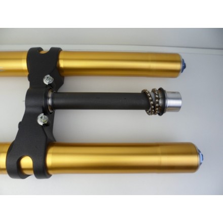 ÖHLINS FORCELLA ANTERIORE SOSPENSIONE ELETTRONICA DUCATI MULTISTRADA 1200 S 2010