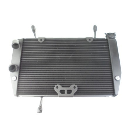 RADIATORE ACQUA RAFFREDDAMENTO LIQUIDO MOTORE OEM DUCATI MULTISTRADA 1200 S 2010