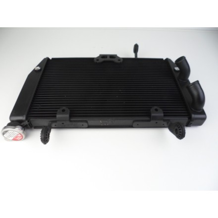 RADIATORE ACQUA RAFFREDDAMENTO LIQUIDO MOTORE OEM DUCATI MULTISTRADA 1200 S 2010