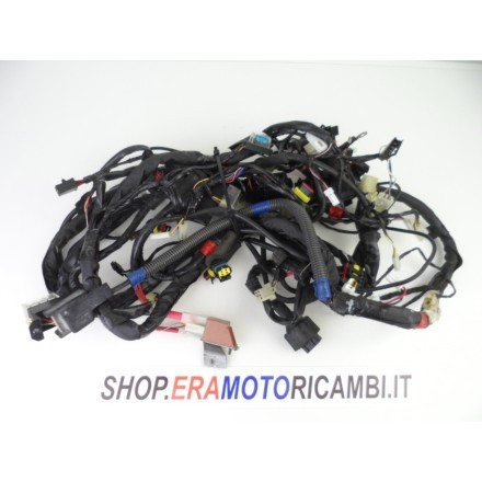 IMPIANTO CAVI CABLAGGIO TRECCIA GRUPPO ELETTRICO OEM PIAGGIO BEVERLY 250 2006