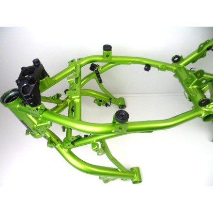 TELAIO QUADRO PRINCIPALE CON DOCUMENTAZIONE E TARGA ORIGINALE KAWASAKI Z650 2021
