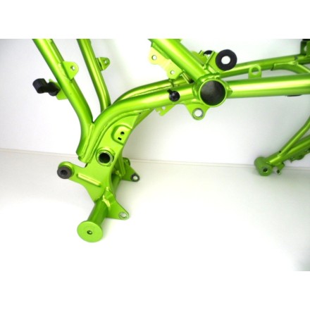 TELAIO QUADRO PRINCIPALE CON DOCUMENTAZIONE E TARGA ORIGINALE KAWASAKI Z650 2021