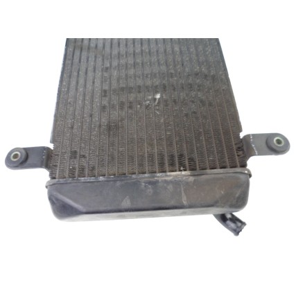 TOYO RADIATOR RADIATORE ACQUA CON VENTOLA ORIGINALE SUZUKI BURGMAN 400 AN 1999