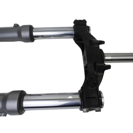 FORCELLA SOSPENSIONE ANTERIORE COMPLETA ORIGINALE SUZUKI BURGMAN 400 AN 1999