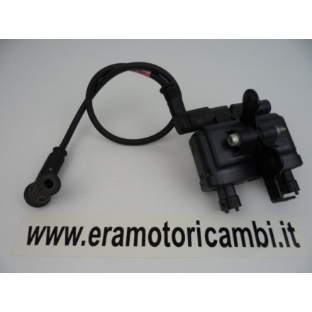 COPPIA BOBINE ORIZZONTALI DUCATI MULTISTRADA 1200 2016