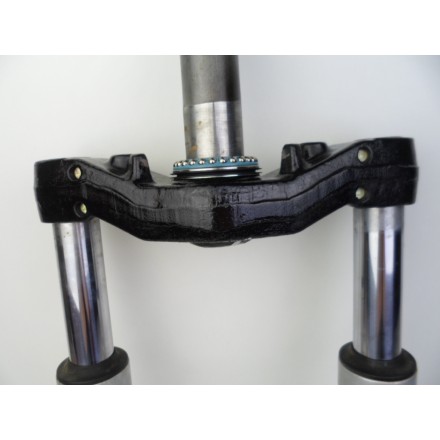 FORCELLA SOSPENSIONE ANTERIORE COMPLETA OEM HONDA PANTHEON 150 (1998-2002) FES