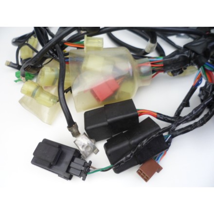 IMPIANTO CAVI CABLAGGIO GRUPPO ELETTRICO OEM HONDA PANTHEON 150 (1998-2002) FES