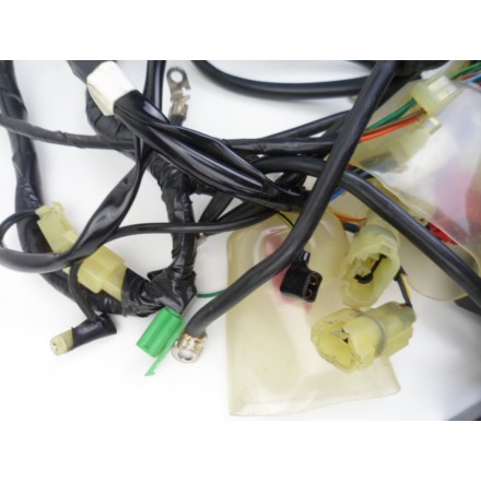 IMPIANTO CAVI CABLAGGIO GRUPPO ELETTRICO OEM HONDA PANTHEON 150 (1998-2002) FES