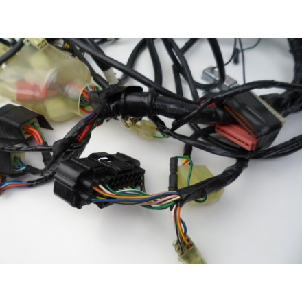 IMPIANTO CAVI CABLAGGIO GRUPPO ELETTRICO OEM HONDA PANTHEON 150 (1998-2002) FES