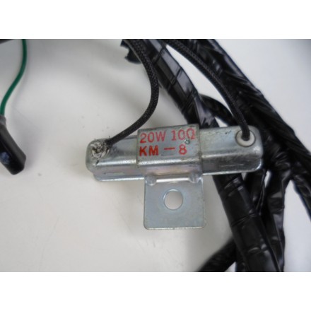 IMPIANTO CAVI CABLAGGIO GRUPPO ELETTRICO OEM HONDA PANTHEON 150 (1998-2002) FES