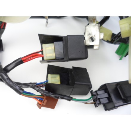 IMPIANTO CAVI CABLAGGIO GRUPPO ELETTRICO OEM HONDA PANTHEON 150 (1998-2002) FES