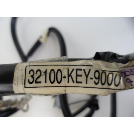 IMPIANTO CAVI CABLAGGIO GRUPPO ELETTRICO OEM HONDA PANTHEON 150 (1998-2002) FES