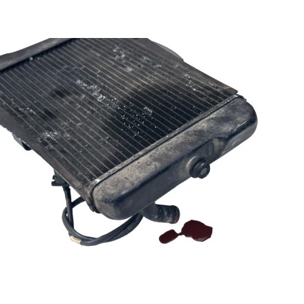 RADIATORE RAFFREDDAMENTO ACQUA MOTORE CON VENTOLA ORIGINALE HONDA SH 300 2011