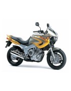 YAMAHA TDM 850 2002